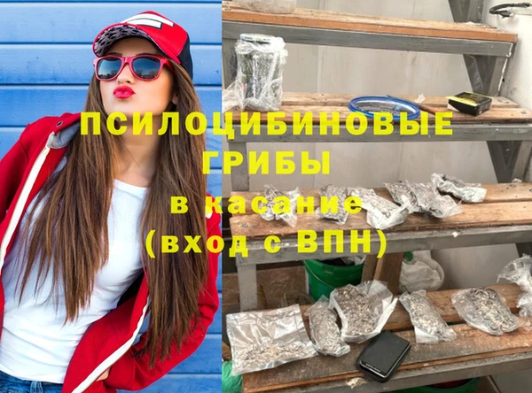 шишки Арсеньев