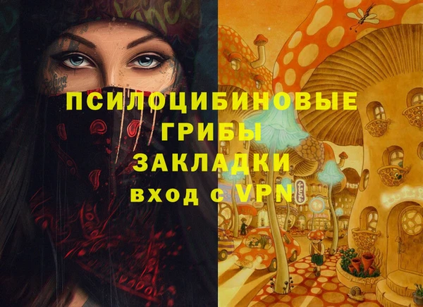 шишки Арсеньев