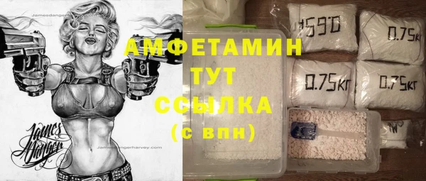 шишки Арсеньев