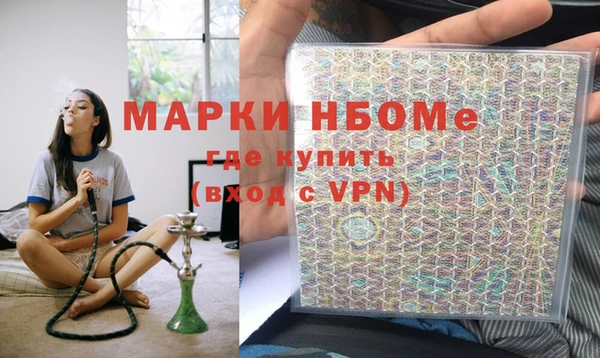 шишки Арсеньев