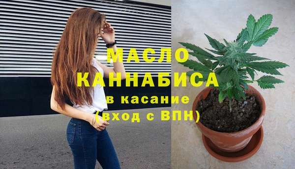 шишки Арсеньев